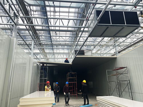 科技賦能農業新愿景 生物化工技術引領的草莓植物工廠，開啟全年“草莓自由”時代